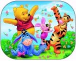 Солнцезащитные Экраны Disney